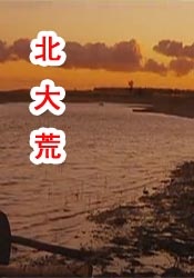 91国语对白